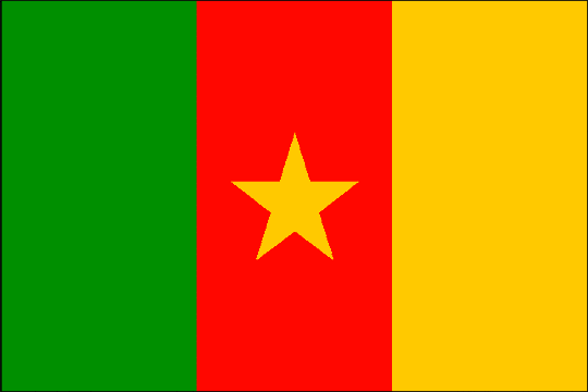 государственный флаг Республика Камерун