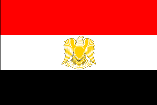 государственный флаг Ливийская Арабская Республика