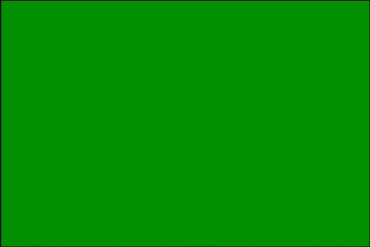 государственный флаг Королевство Борну