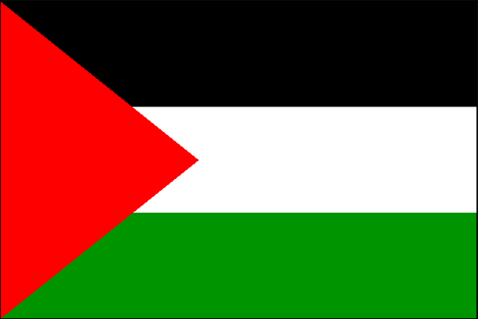 государственный флаг Палестинская Национальная Администрация