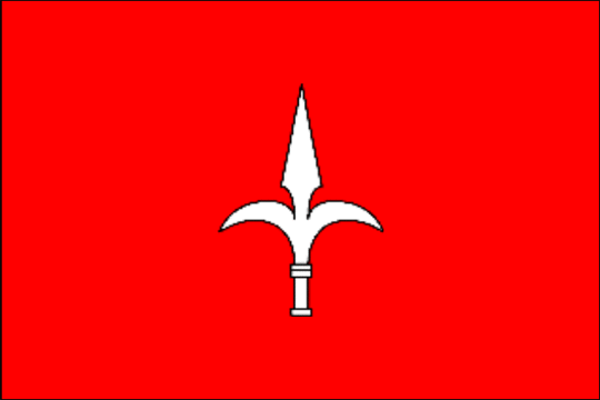 государственный флаг Свободная территория Триест